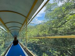 -七仙岭温泉国家森林公园