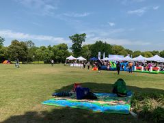 -吴淞炮台湾湿地森林公园烧烤区