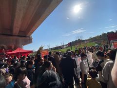-秀丽东方