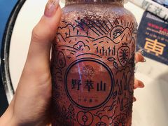 -野萃山·潮汕厚果汁(十亩地店)