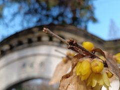 -南山风景名胜区