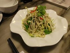 白菜心豆腐丝-九朝会昆曲·宴(望京店)