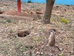 -无锡动物园·太湖欢乐园
