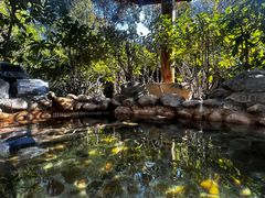 -深业半汤御泉庄温泉