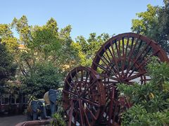 -品德宏·孔雀宴的发源地(金塔园店)