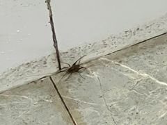 -贝壳新青年公寓