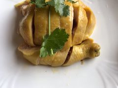 白切鸡-浦江餐饮•上海菜馆(五四路店)