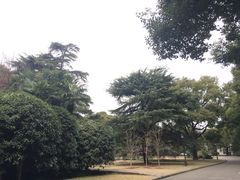 iphone_upload_pic-上海虹桥迎宾馆