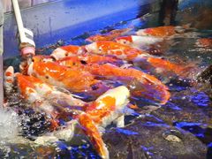 -太平洋海底世界