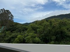 -深圳野生动物园