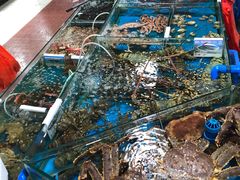 水产区-鸿港海鲜批发市场