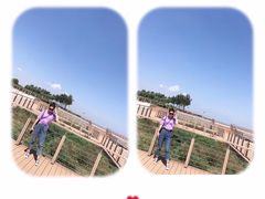 -东疆建设开发纪念公园