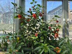 -国家植物园南园