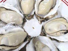 高压锅生蚝-明本湛江鸡•海鲜小厨(陈家祠店)