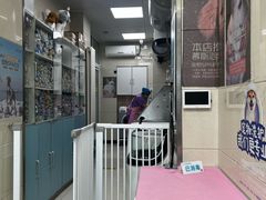 -北京观赏动物医院·24小时大型综合·猫专科·异宠专科