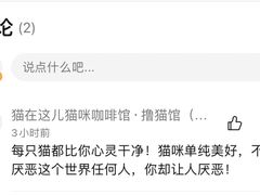 -猫在这儿猫咪咖啡馆·撸猫馆