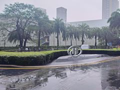 -希尔顿南海酒店·观廊大堂吧·海景下午茶