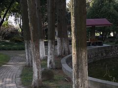 教学楼-中共上海市委党校 上海行政学院