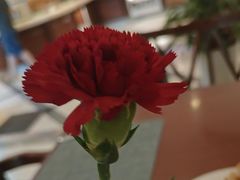 -古南都饭店-遂心遂意自助餐厅(广州路店)