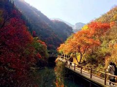 -黄花溪