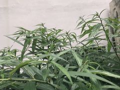 -汉中石门栈道景区