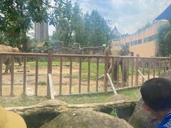 -南昌动物园