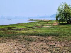 -洱海月湿地公园