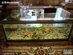 -鼎族怡华·指压·油压·经络(西单昌盛大厦店)