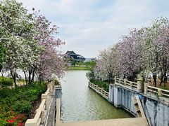 -海珠湖公园