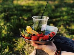 -杭州城北体育公园