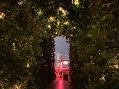 -顶层酒吧ROOF(上海艾迪逊酒店)
