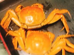 -东方红海鲜百汇(国际大厦店)