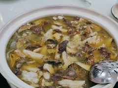 -杨记山珍鸡煲菌汤锅