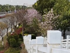 -宝安西湾红树林湿地公园