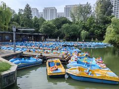 -红梅公园