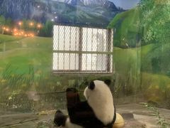 -上海野生动物园