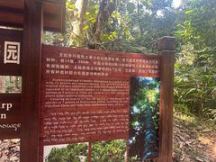 -中国科学院西双版纳热带植物园
