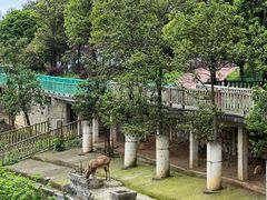 -贵州森林野生动物园