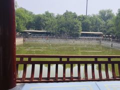 -尚庄度假村·庭台树下·户外烧烤·团建CS·轰趴营地(上庄水库店)