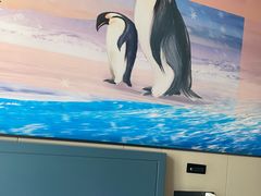 -海合安武汉极地海洋公园