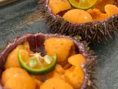 -海胆小馆(东北水饺·春柳店)