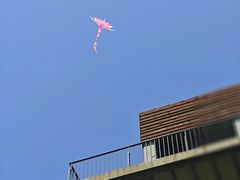 -春花秋色城市公园