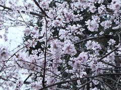 -安定门(地铁站)