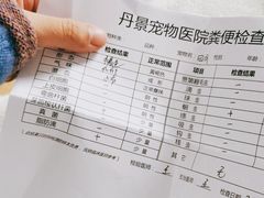 -丹景宠物医院·全科·老年病·牙科(武昌诊疗中心)