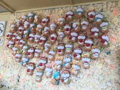 -柴犬高等学院·狗咖·柴犬售卖·宠物训练