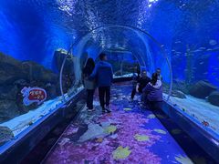 -顺德南宏海立方海洋公园