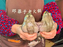-邓莽子老火锅(中兴路总店)