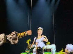 景点-丽江千古情