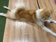 -YCHL Studios健身工作室(市二宫店)