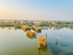 -盐城丹顶鹤湿地生态旅游区